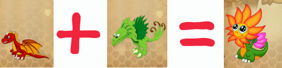 flower dragon
