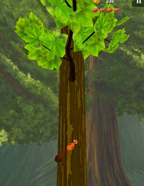 Nuts-iPad