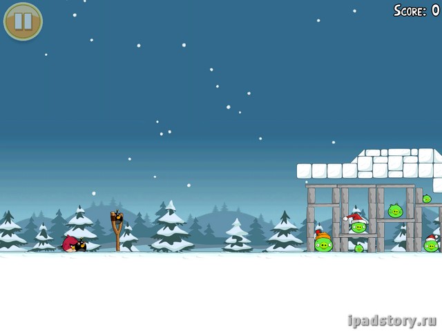 птички ipad