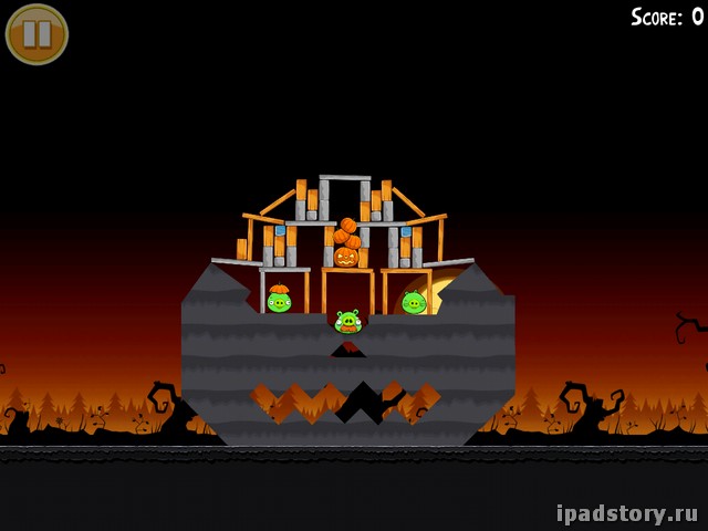 птички ipad