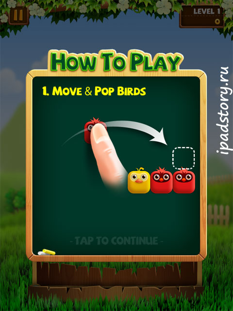 Birzzle HD на iPad