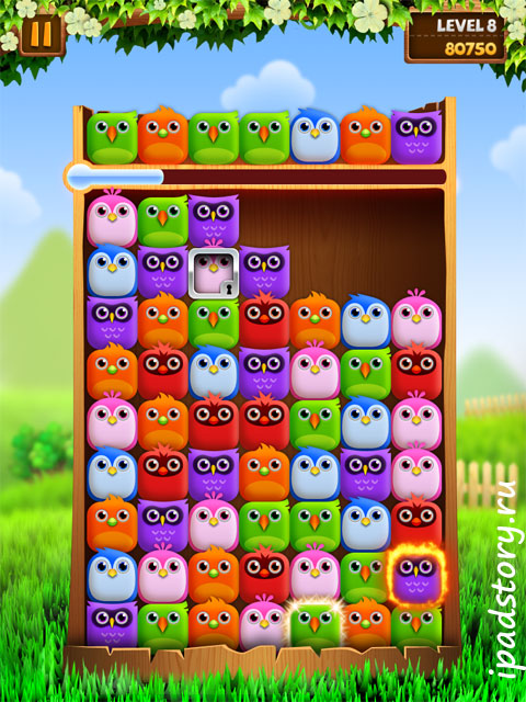 Birzzle HD на iPad