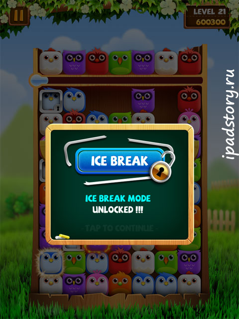 Birzzle HD на iPad ледовый режим