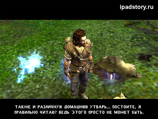 прохождение игры The Bard's Tale на iPad
