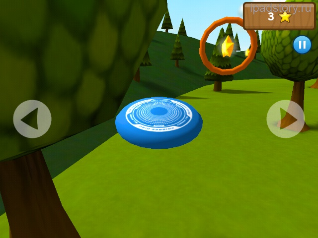 Frisbee forever