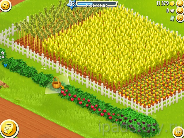 Hay Day