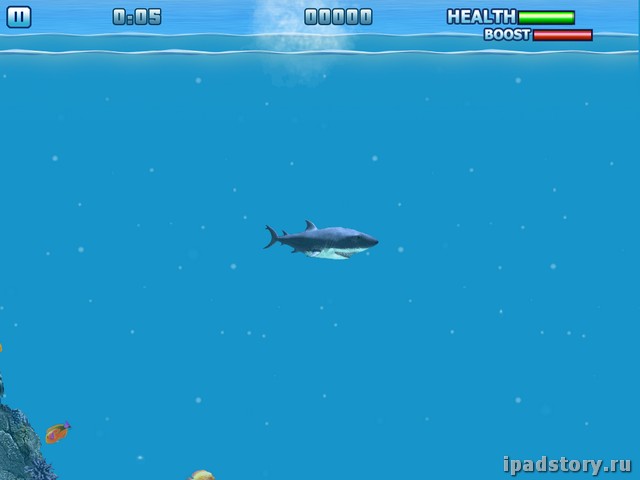 Hungry Shark