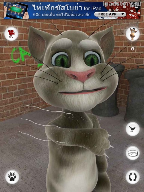 Talking Tom Cat for iPad