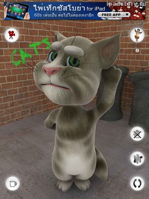 Talking Tom Cat for iPad