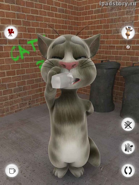 Talking Tom Cat for iPad