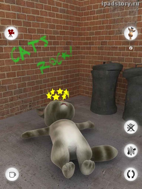 Talking Tom Cat for iPad