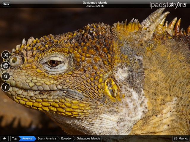 фотопедия ipad