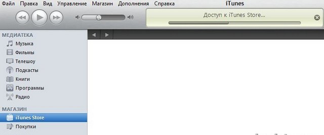 Скачать программу в iTunes Скачать программу в iTunes