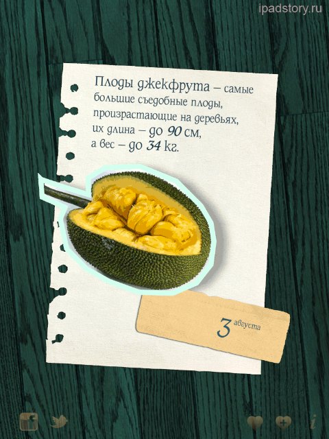 365 интересных фактов