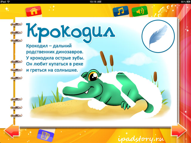 Альбом Сафари